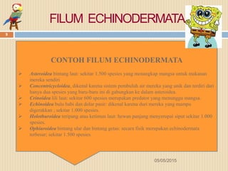 FILUM ECHINODERMATA
CONTOH FILUM ECHINODERMATA
 Asteroidea bintang laut: sekitar 1.500 spesies yang menangkap mangsa untuk makanan
mereka sendiri
 Concentricycloidea, dikenal karena sistem pembuluh air mereka yang unik dan terdiri dari
hanya dua spesies yang baru-baru ini di gabungkan ke dalam asteroidea.
 Crinoidea lili laut: sekitar 600 spesies merupakan predator yang menunggu mangsa.
 Echinoidea bulu babi dan dolar pasir: dikenal karena duri mereka yang mampu
digerakkan ; sekitar 1.000 spesies.
 Holothuroidea teripang atau ketimun laut: hewan panjang menyerupai siput sekitar 1.000
spesies.
 Ophiuroidea bintang ular dan bintang getas: secara fisik merupakan echinodermata
terbesar; sekitar 1.500 spesies.
05/05/2015
9
 
