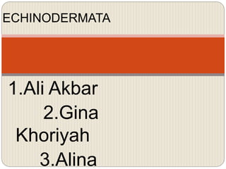 1.Ali Akbar
2.Gina
Khoriyah
3.Alina
ECHINODERMATA
 