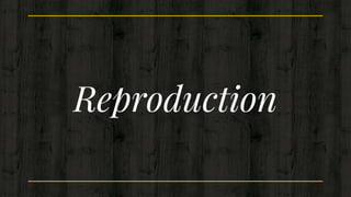Reproduction
 
