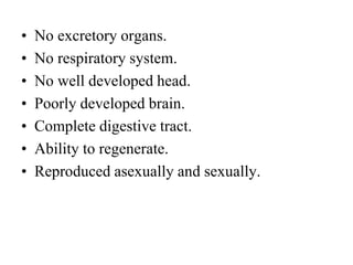 • No excretory organs.
• No respiratory system.
• No well developed head.
• Poorly developed brain.
• Complete digestive tract.
• Ability to regenerate.
• Reproduced asexually and sexually.
 