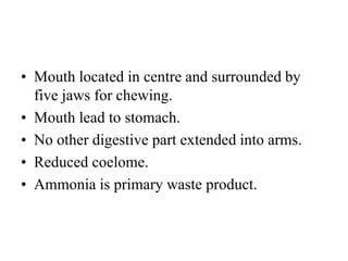 • Mouth located in centre and surrounded by
five jaws for chewing.
• Mouth lead to stomach.
• No other digestive part extended into arms.
• Reduced coelome.
• Ammonia is primary waste product.
 