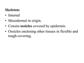 Skeleton:
• Internal
• Mesodermal in origin.
• Consist ossicles covered by epidermis.
• Ossicles enclosing other tissues in flexible and
tough covering.
 