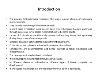 Introduction
• The phylum Echinodermata represents the largest animal phylum of exclusively
marine animals.
• They include morphologically diverse animals.
• In most cases fertilization takes place in open water, the larvae hatch in water and
through successive larval stages metamorphose to become adults.
• Larvae of Echinoderms are bilaterally symmetrical but they looses their symmetry
during the process of metamorphosis.
• Different classes of Echinoderms show different larval forms.
• Echinoderms are unisexual animal with no sexual dimorphism.
• Echinoderms are deuterostomes and hence cleavage is radial, holoblastic and
indeterminate.
• The development may be direct or indirect.
• If the development is indirect it includes larva stages.
• In different classes of echinoderms, different types of larvae complete the
development.
• It undergoes metamorphosis and radial symmetrical adult is developed.
 