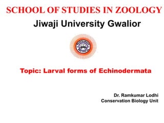 Topic: Larval forms of Echinodermata
SCHOOL OF STUDIES IN ZOOLOGY
Jiwaji University Gwalior
Dr. Ramkumar Lodhi
Conservation Biology Unit
 