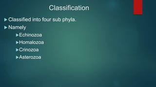 Classification
 Classified into four sub phyla.
 Namely
Echinozoa
Homalozoa
Crinozoa
Asterozoa
 