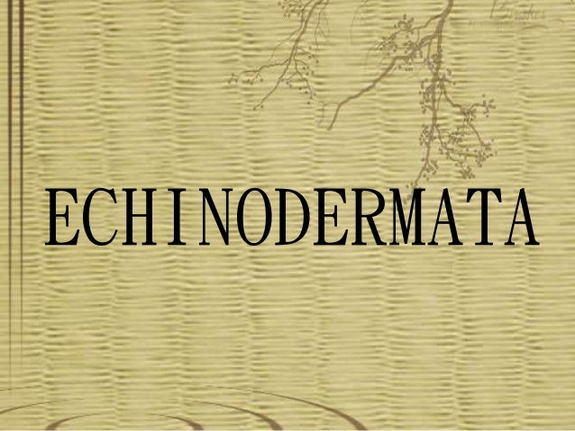  Echinodermata  dan  arthropoda 