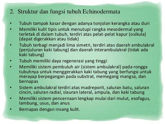  Echinodermata  dan  arthropoda 
