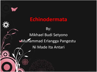 Echinodermata
            By:
   Mikhael Budi Setyono
Muhammad Erlangga Pangestu
    Ni Made Ita Antari
 