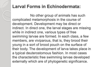 Phylum Echinodermata Clear Concept