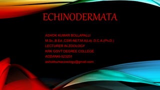 ECHINODERMATA
ASHOK KUMAR BOLLAPALLI
M.Sc.,B.Ed.,CSIR-NET,M.A(Lit) .D.C.A.(Ph.D.)
LECTURER IN ZOOLOGY
KRK GOVT DEGREE COLLEGE
ADDANKI-523201
ashokkumarzoology@gmail.com
 