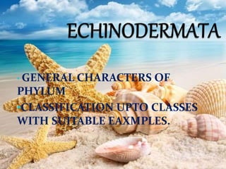 • GENERAL CHARACTERS OF
PHYLUM
•CLASSIFICATION UPTO CLASSES
WITH SUITABLE EAXMPLES.
 