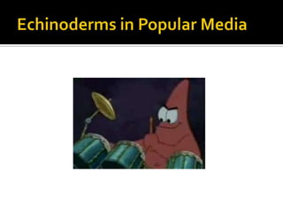 Echinoderms in Popular Media<br />