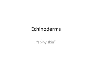 Echinoderms

 “spiny skin”
 
