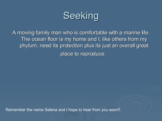 Seeking A moving family man who is comfortable with a marine life. The ocean floor is my home and I, like others from my phylum, need its protection plus its just an overall great place to reproduce.   Remember the name Selena and I hope to hear from you soon!! 