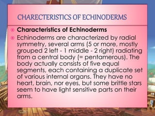 Echinoderms