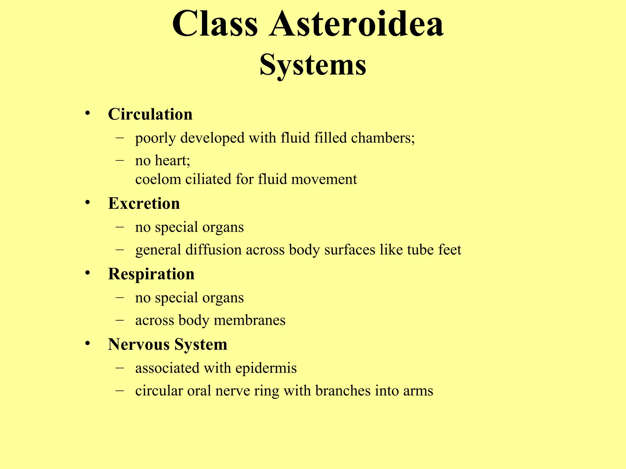 • Circulation
– poorly developed with fluid filled chambers;
– no heart;
coelom ciliated for fluid movement
• Excretion
– no special organs
– general diffusion across body surfaces like tube feet
• Respiration
– no special organs
– across body membranes
• Nervous System
– associated with epidermis
– circular oral nerve ring with branches into arms
Class Asteroidea
Systems
 