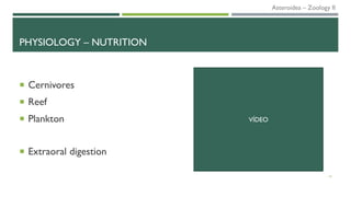 PHYSIOLOGY – NUTRITION
 Cernivores
 Reef
 Plankton
 Extraoral digestion
14
VÍDEO
Asteroidea – Zoology II
 