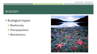 ECOLOGY
 Ecological impact
 Biodiversity
 Overpopulation
 Bioindicators
26
Asteroidea – Zoology II
 