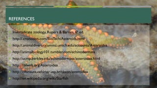 REFERENCES
 Invertebrate zoology, Rupert & Barnes, 6ª ed.
 http://.cronodon.com/BioTech/Asteroids.html
 http://.animaldiversity.ummz.umich.edu/accounts/Asteroidea
 http://animalbiology101.tumbler.com/echinodermata
 http://ucmp.berkley.edu/echinodermata/asteroidea.html
 http://tolweb.org/Asteroidea
 http://cifonauta.cebimar.usp.br/táxon/asteroidea
 http://en.wikipedia.org/wiki/Starfish 28
 