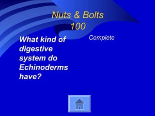 Nuts & Bolts
100
What kind of
digestive
system do
Echinoderms
have?
Complete
 