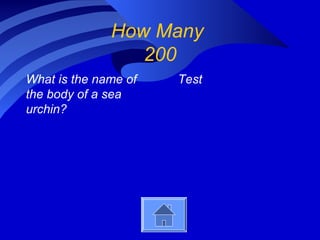 How Many
200
What is the name of
the body of a sea
urchin?
Test
 