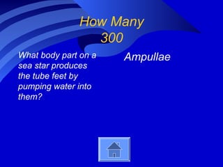 How Many
300
What body part on a
sea star produces
the tube feet by
pumping water into
them?
Ampullae
 