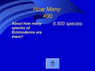 How Many
400
About how many
species of
Echinoderms are
there?
6,500 species
 