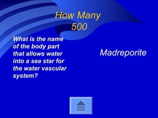 How Many
500
What is the name
of the body part
that allows water
into a sea star for
the water vascular
system?
Madreporite
 