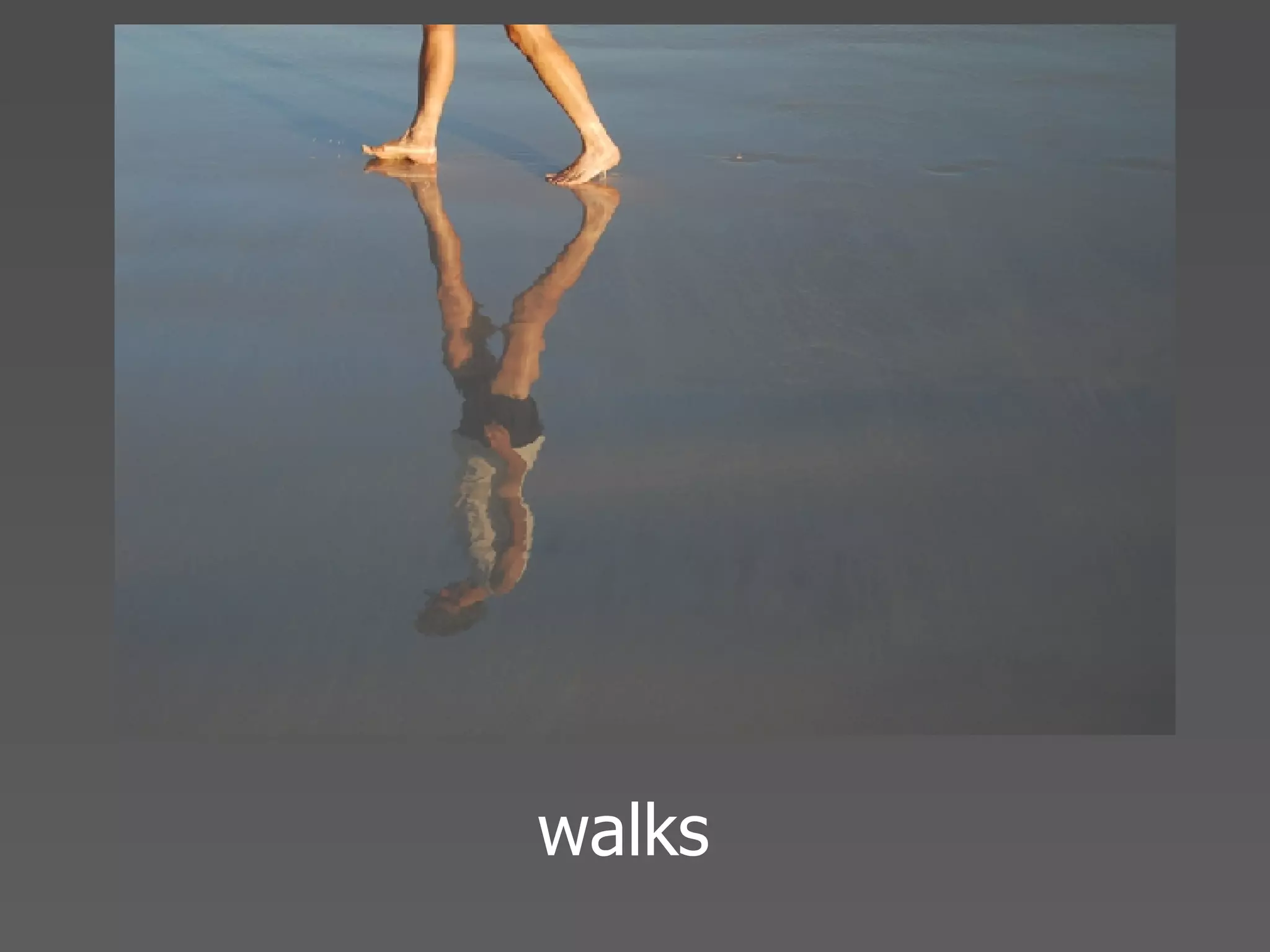 Echo 08 Presentation