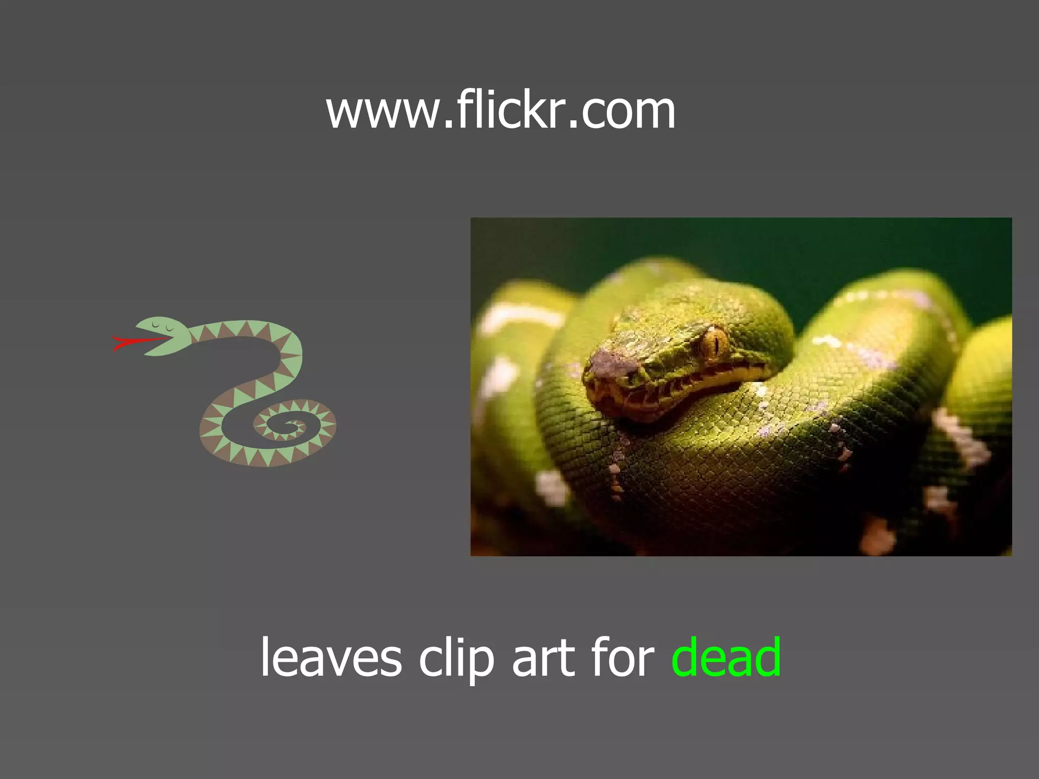 Echo 08 Presentation