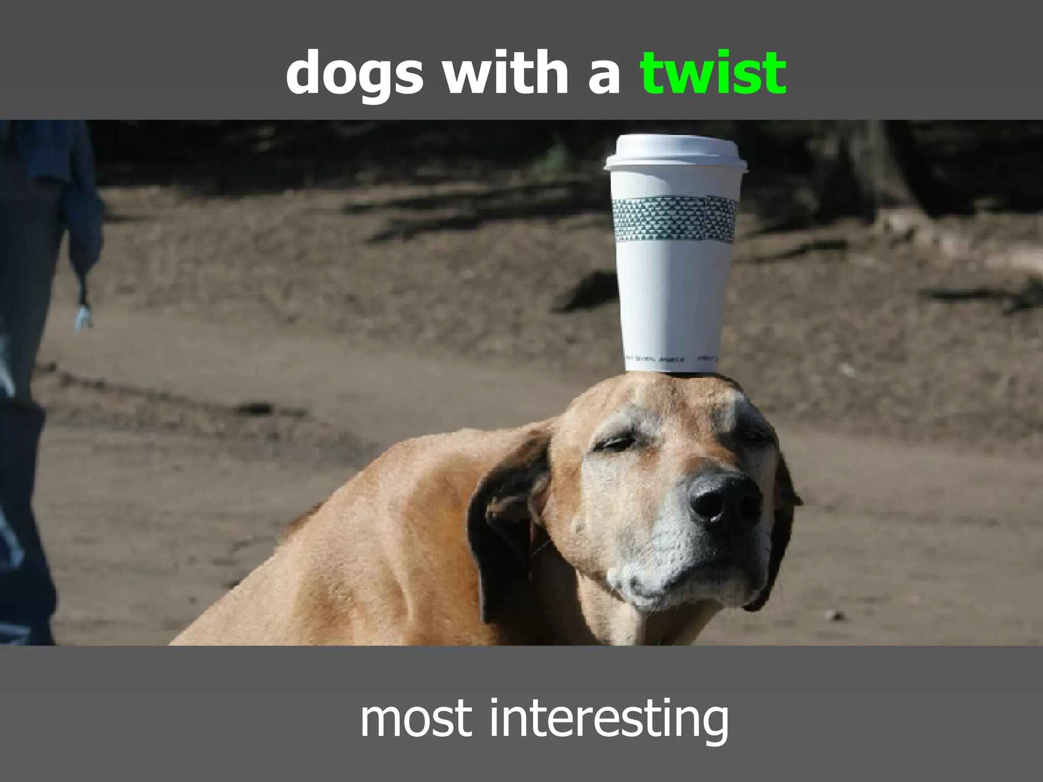 Echo 08 Presentation