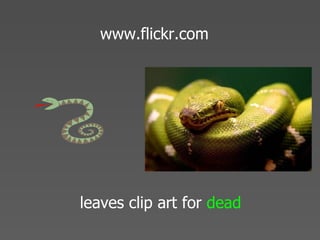 Echo 08 Presentation