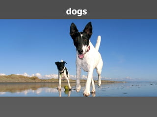 Echo 08 Presentation