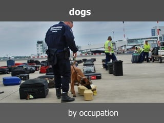 Echo 08 Presentation