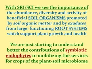 1315 - Agroecological Strategies for Raising Crop Productivity
