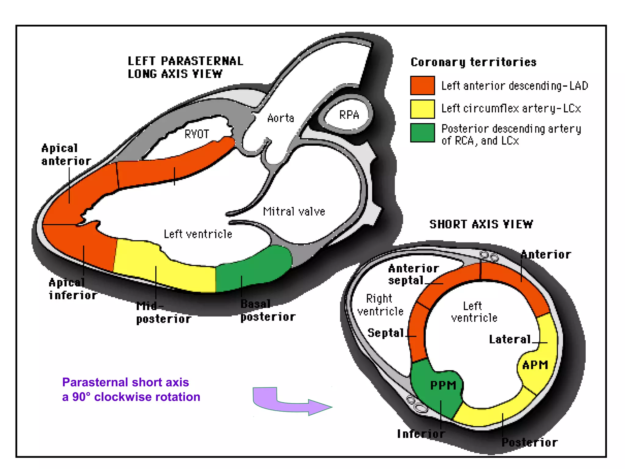 Parasternal short axis
a 90° clockwise rotation
 