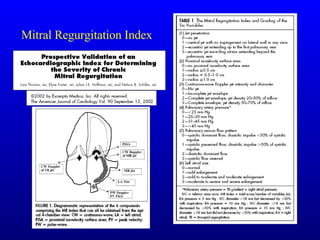 Mitral Regurgitation Index 