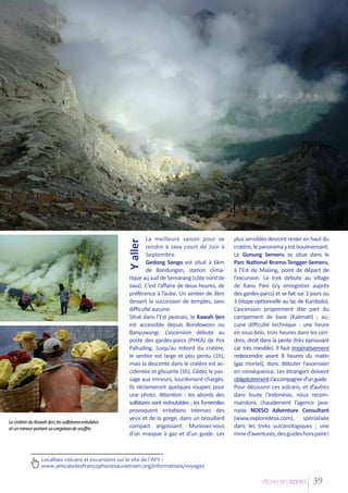 Y aller

La meilleure saison pour se
rendre à Java court de Juin à
Septembre.
Gedong Songo est situé à 6km
de Bandungan, station climatique au sud de Semarang (côte nord de
Java). C’est l’affaire de deux heures, de
préférence à l’aube. Un sentier de 3km
dessert la succession de temples, sans
difficulté aucune.
Situé dans l’Est javanais, le Kawah Ijen
est accessible depuis Bondowoso ou
Banyuwangi. L’ascension débute au
poste des gardes-parcs (PHKA) de Pos
Paltuding. Jusqu’au rebord du cratère,
le sentier est large et peu pentu (1h),
mais la descente dans le cratère est accidentée et glissante (1h). Cédez le passage aux mineurs, lourdement chargés.
Ils réclameront quelques roupies pour
une photo. Attention : les abords des
solfatares sont redoutables ; les fumerolles
provoquent irritations intenses des
yeux et de la gorge, dans un brouillard
compact angoissant. Munissez-vous
d’un masque à gaz et d’un guide. Les

Le cratère du Kawah Ijen, les solfatares entubées
et un mineur portant sa cargaison de souffre.

plus sensibles devront rester en haut du
cratère, le panorama y est bouleversant.
Le Gunung Semeru se situe dans le
Parc National Bromo-Tengger-Semeru,
à l’Est de Malang, point de départ de
l’excursion. Le trek débute au village
de Ranu Pani (s’y enregistrer auprès
des gardes-parcs) et se fait sur 2 jours ou
3 (étape optionnelle au lac de Kumbolo).
L’ascension proprement dite part du
campement de base (Kalimati) ; aucune difficulté technique : une heure
en sous-bois, trois heures dans les cendres, droit dans la pente (très éprouvant
car très meuble). Il faut impérativement
redescendre avant 8 heures du matin
(gaz mortel), donc débuter l’ascension
en conséquence. Les étrangers doivent
obligatoirement s’accompagner d’un guide.
Pour découvrir ces volcans, et d’autres
dans toute l’Indonésie, nous recommandons chaudement l’agence javanaise NDESO Adventure Consultant
(www.exploredesa.com), spécialisée
dans les treks vulcanologiques ; une
mine d’aventures, des guides hors paire!

Localisez volcans et excursions sur le site de l’AFV :
www.amicaledesfrancophonesauvietnam.org/informations/voyages
L’EÁcho deS RIziEÂRES

39

 