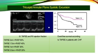 TricuspidAnnular Plane Systolic Excursion
※ TAPSEand RVejection fraction
:TAPSE2cm=RVEF50%
:TAPSE1.7cm=RVEF45%
:TAPSE1cm=RVEF30%
:TAPSE0.5cm=RVEF20%
Eventfreesurvival according
to TAPSEin patientswith CHF
 