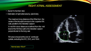 RIGHT ATRIAL ASSESSMENT
• Apical 4-chamber view
• Estimationof right atrialareaby planimetry
Themaximumlong distanceof theRAis from the
centerof thetricuspid annulusto the superiorRA
wall,parallelto theinteratrial septum
A mid RAminor distancveisdefined from the mid
levelof theRAfreewallto theinteratrial septum
perpendicularto thelong axis
RAareaistracedattheend of ventricular
systole,excluding theIVC, SVC,and RAA
Normal area<18cm²
 