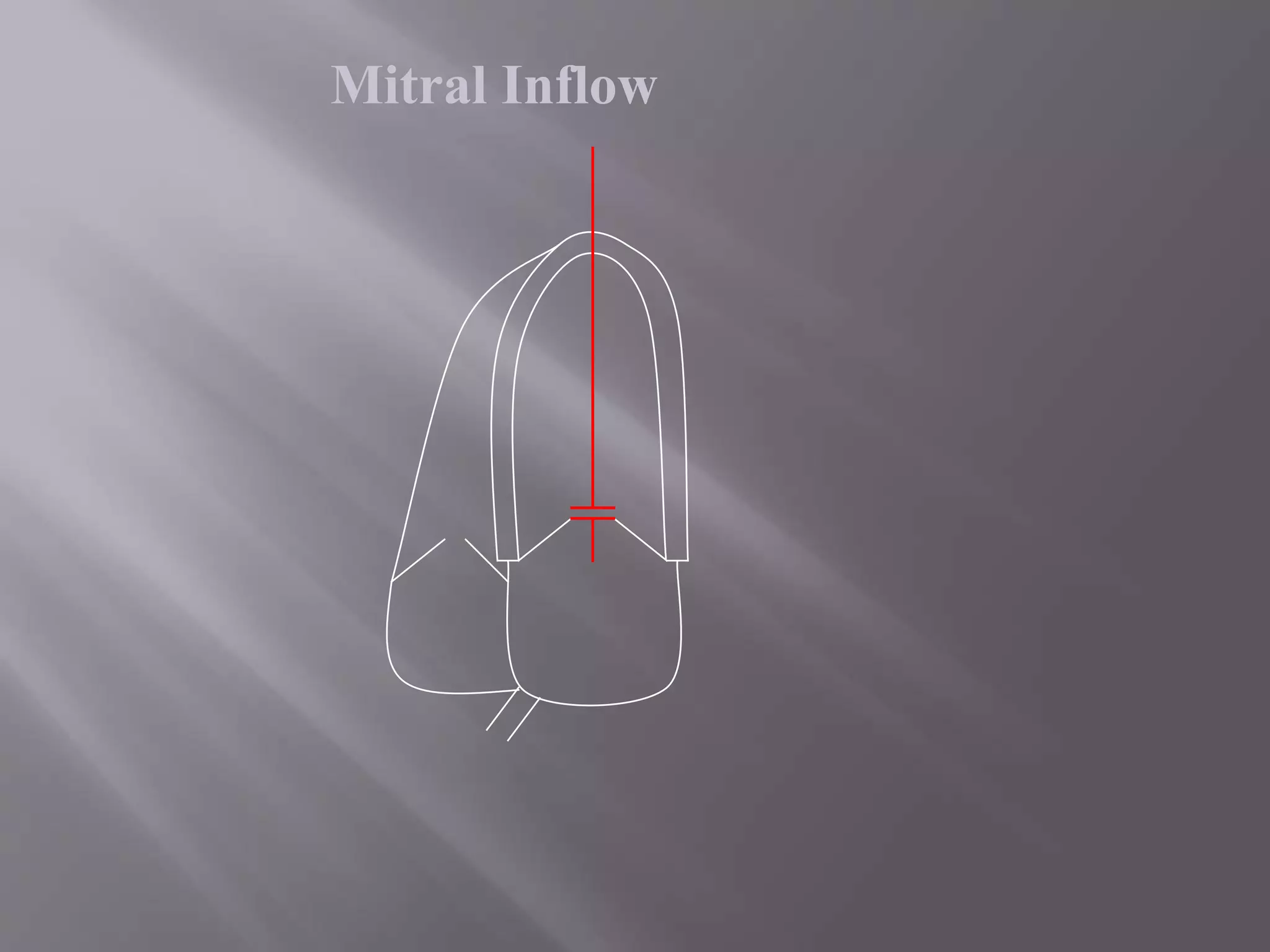 Mitral Inflow
 