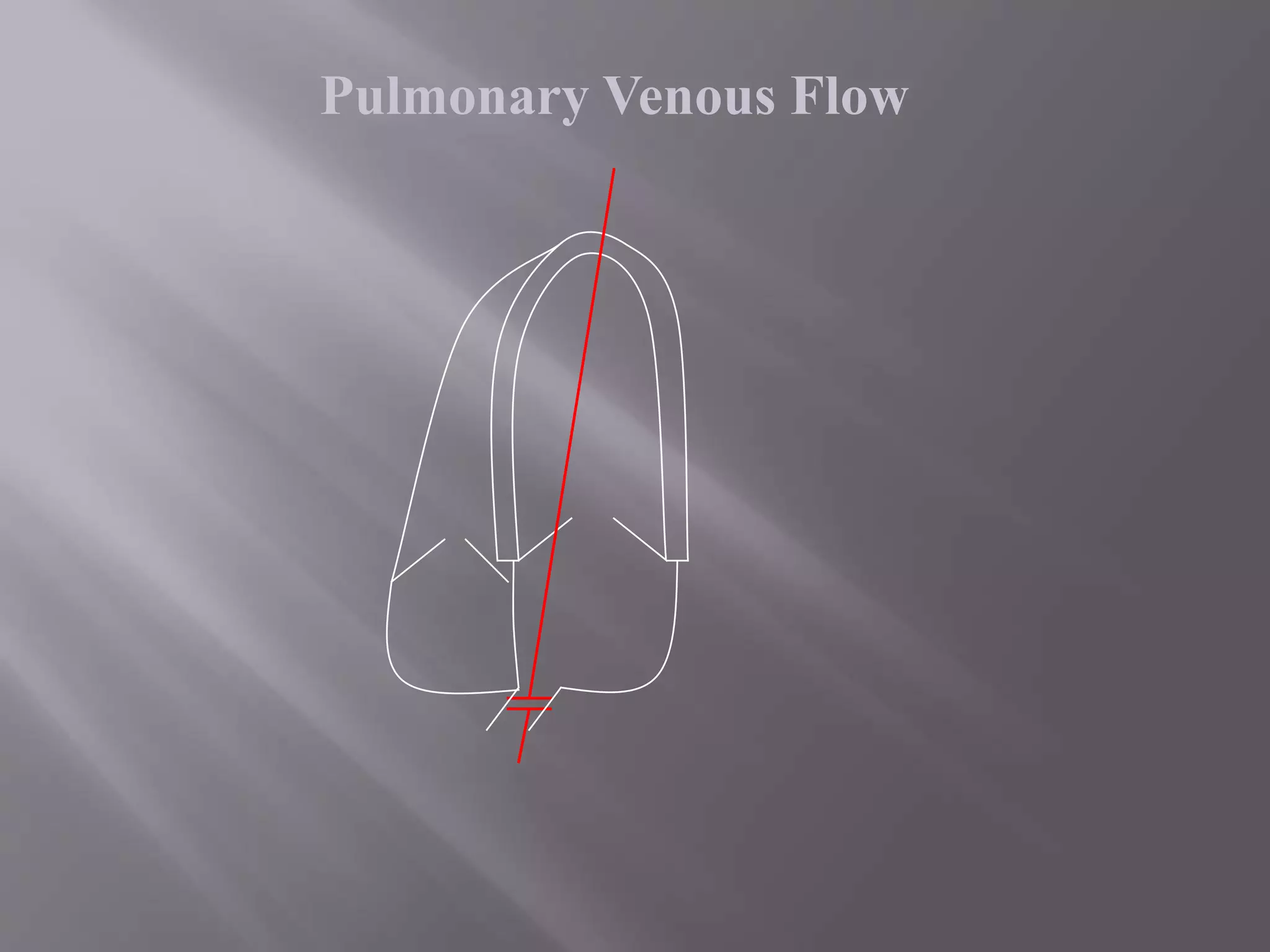 Pulmonary Venous Flow
 