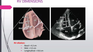 Echo Rv Labaled echoassessmentofrvfunction-190104172505.pptx