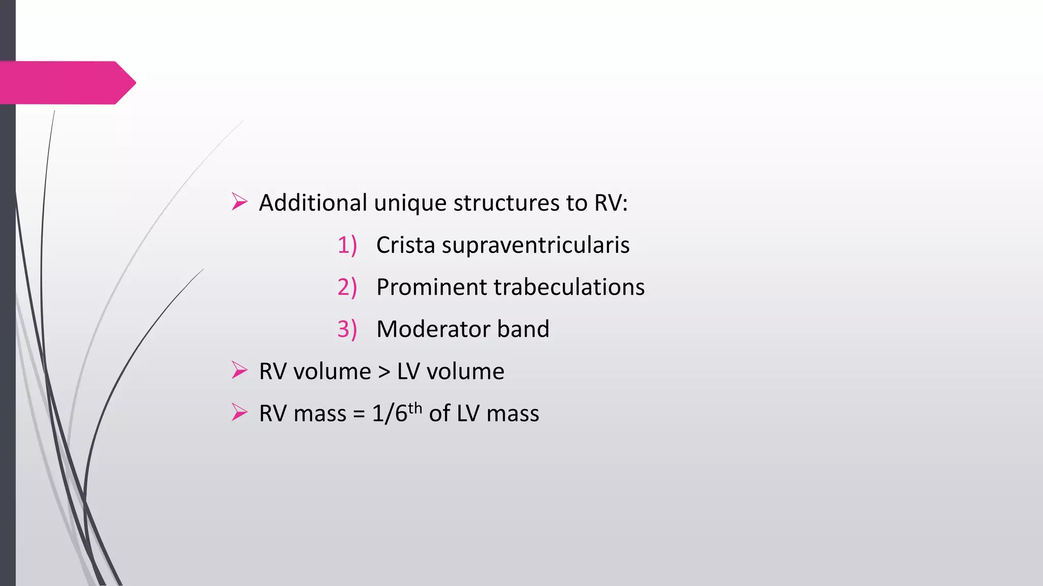  Additional unique structures to RV:
1) Crista supraventricularis
2) Prominent trabeculations
3) Moderator band
 RV volume > LV volume
 RV mass = 1/6th of LV mass
 