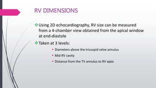 RV DIMENSIONS
Using 2D echocardiography, RV size can be measured
from a 4-chamber view obtained from the apical window
at end-diastole
Taken at 3 levels:
 Diameters above the tricuspid valve annulus
 Mid RV cavity
 Distance from the TV annulus to RV apex
 