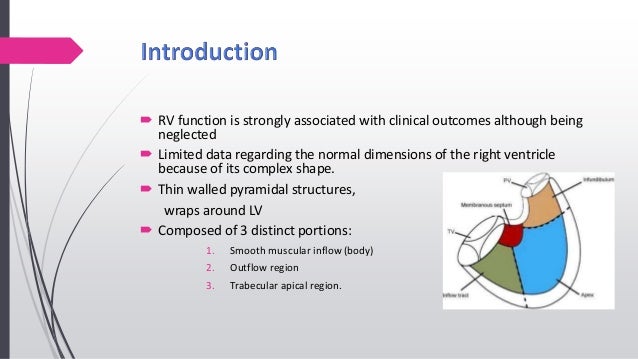 echo-assessment-of-rv-function
