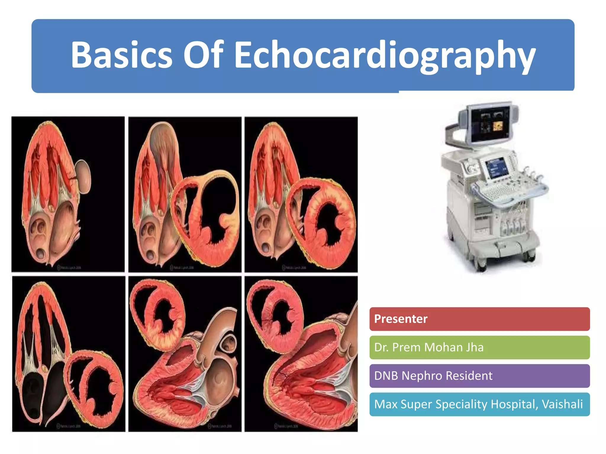 Basics Of Echocardiography PDF