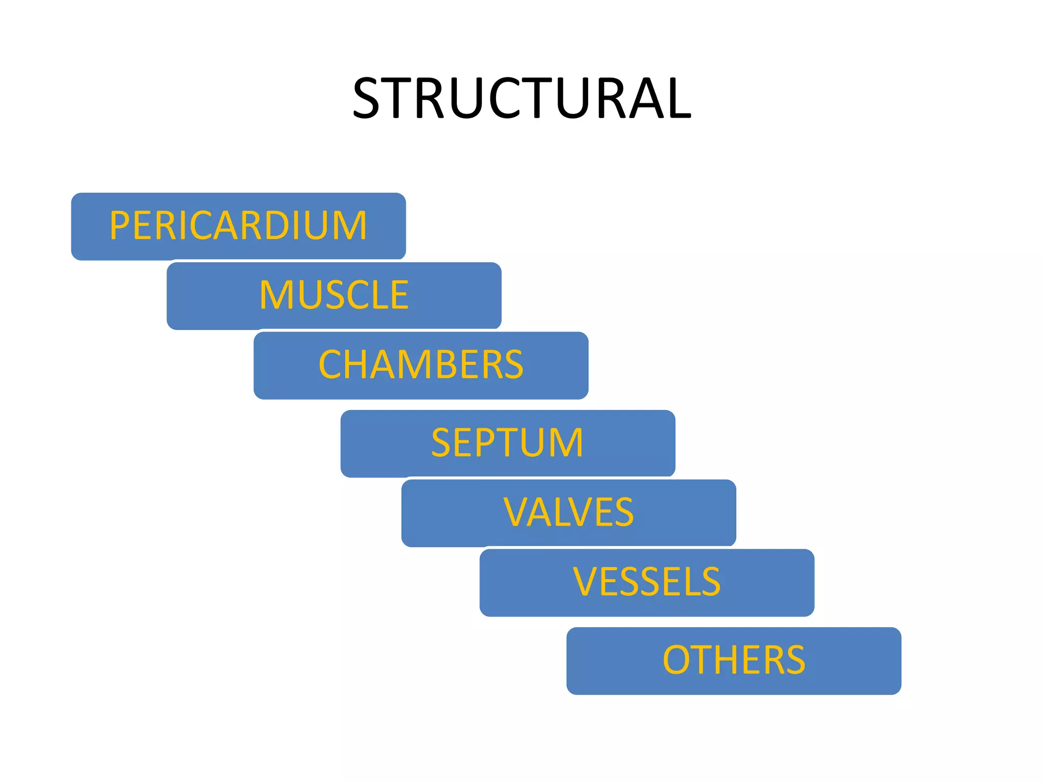 STRUCTURAL
PERICARDIUM
MUSCLE
CHAMBERS
SEPTUM
VALVES
VESSELS
OTHERS
 