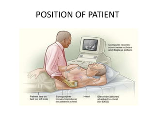 2D ECHO Basics | PPTX