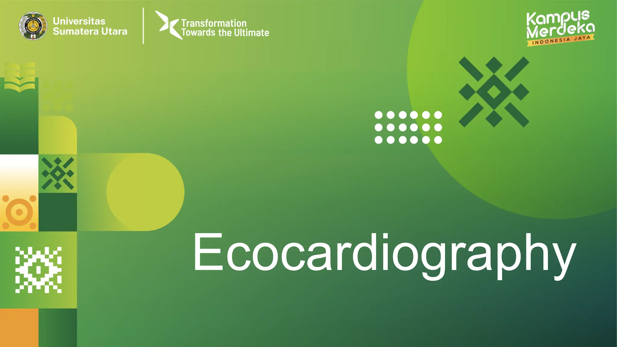 echocardiography basics from a to z.pptx
